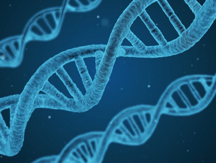 Nutrigenomix: eat according to your DNA