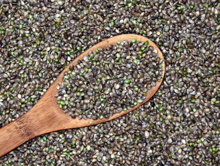 Hemp seed, a food with multiple benefits